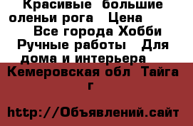 Красивые  большие оленьи рога › Цена ­ 3 000 - Все города Хобби. Ручные работы » Для дома и интерьера   . Кемеровская обл.,Тайга г.